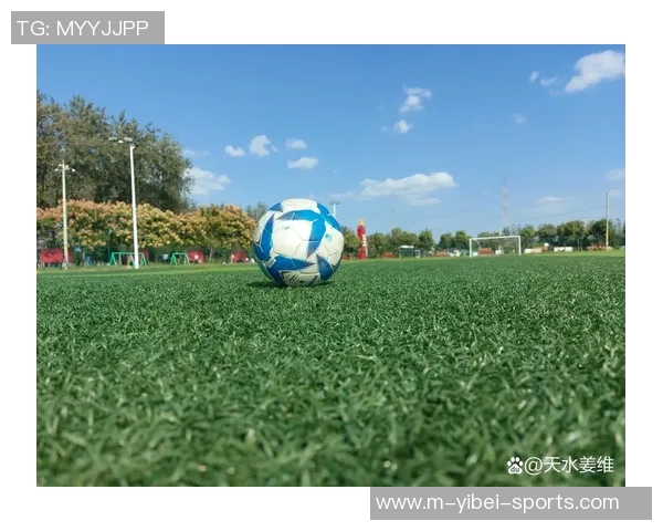 足球万岁番外篇：球场上的友情与梦想交织的故事